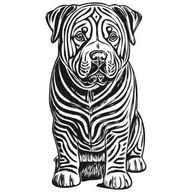 Çin Shar Pei köpek vektör grafikleri, el çizimi kalem hayvan çizgisi çizimleri