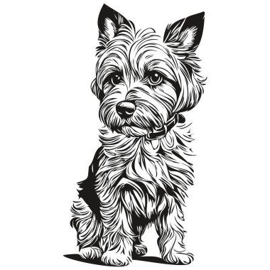 Dandie Dinmont Teriyerleri 'nin köpek eli siyah beyaz çizgili resim çizimi.