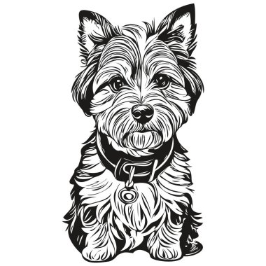 Dandie Dinmont Teriyerleri köpek evcil hayvan silueti, hayvan çizgisi çizim eli siyah beyaz vektör gerçekçi hayvan cins