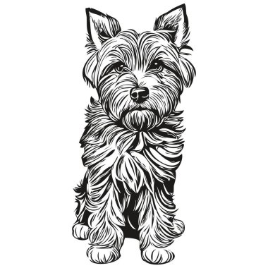 Dandie Dinmont Teriyerleri köpek gerçekçi çizim vektör, çizgi çizimi köpek yüzü siyah beyaz