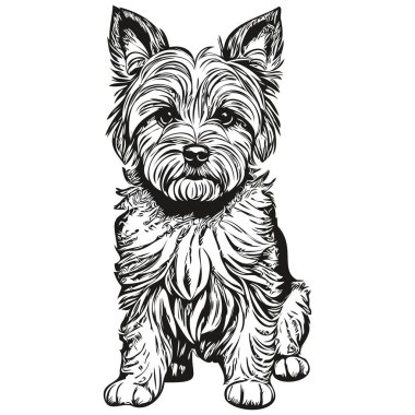 Dandie Dinmont Teriyerleri köpek silueti evcil hayvan karakteri, klipsli sanat vektörü evcil hayvanları siyah beyaz çizim