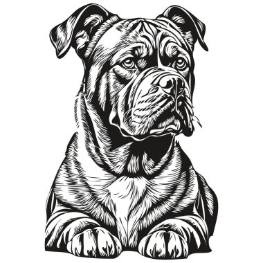 Dogue de Bordeaux köpek evcil hayvan silueti, hayvan çizgisi çizimi el çizimi siyah-beyaz vektör gerçekçi hayvan cins