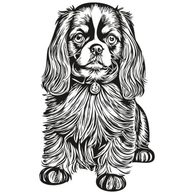 İngiliz Toy Spaniel köpek gerçekçi çizim vektör, çizgi çizimi köpek yüzü siyah ve beyaz gerçekçi evcil hayvan