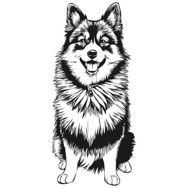 Fin Lapphund köpek eliyle çizilmiş logo, siyah beyaz çizgili sanat hayvanları resmedilmiş gerçekçi evcil hayvan.
