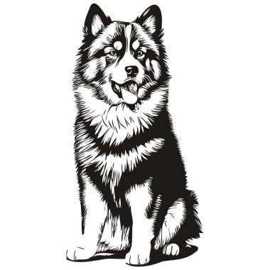 Fin Lapphund köpek logo vektörü siyah beyaz, klasik köpek kafası oymalı çizim