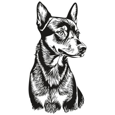 Alman Pinscher köpek çizgi filmi yüz mürekkep portresi, siyah beyaz çizim, tişört izi.
