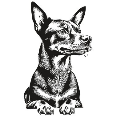 Alman Pinscher köpek eli siyah-beyaz çizgili logo çizmiş. Sanat hayvanları gerçekçi hayvan betimlemesi.