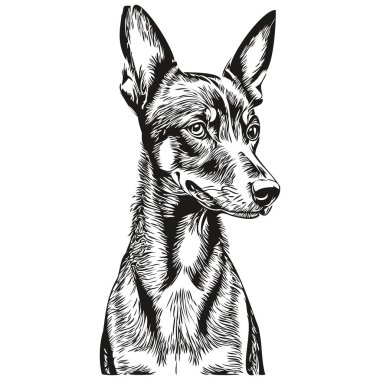 Alman Pinscher köpek logosu siyah beyaz, klasik köpek kafası oymalı gerçekçi bir evcil hayvan.