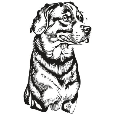 Büyük İsviçre Dağ Köpeği logosu. Siyah beyaz, klasik köpek kafası oymalı.