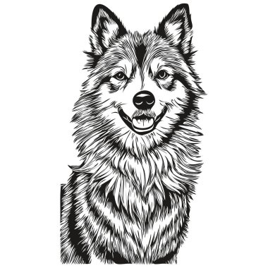 İzlanda Çoban Köpeği 'nin eli siyah-beyaz çizgili bir logo çizdi. Sanat hayvanları gerçekçi bir hayvan türü.