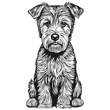 Lakeland Terrier köpek çizim vektörü, izole yüz boyama çizim çizimi çizimi çizimi