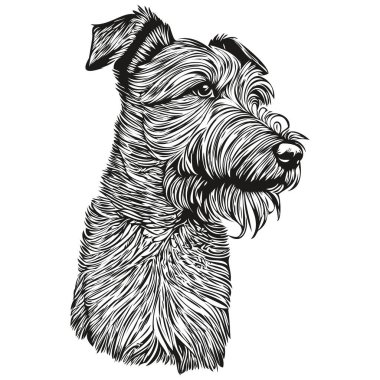 Lakeland Terrier köpek siyah çizim vektörü, izole edilmiş yüz boyama çizimi çizim çizelgesi gerçekçi evcil hayvan.