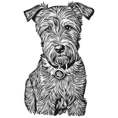 Lakeland Terrier köpeği tişörtü siyah-beyaz, sevimli komik çizim vektörü