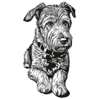 Lakeland Terrier köpek vektör grafikleri, elle çizilmiş kalem hayvan çizgisi çizimleri