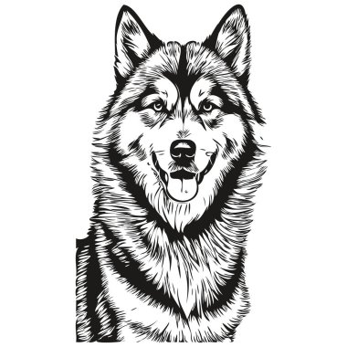 Malamute köpek çizgi filmi yüz mürekkep portresi, siyah beyaz çizim, tişört izi.
