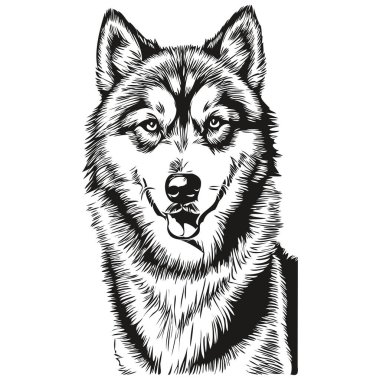 Malamute köpek cinsi çizimi, klipsli hayvan eli vektör siyah ve beyaz gerçekçi evcil hayvan.