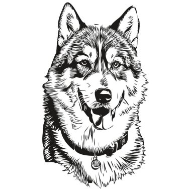 Malamute köpek eli, siyah beyaz çizgili logo çizmiş. Sanat hayvanları gerçekçi hayvan betimlemesi.