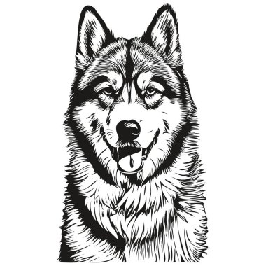 Malamute köpek logosu siyah-beyaz, klasik sevimli köpek kafası oymalı gerçekçi bir hayvan.