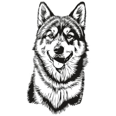 Malamute köpek gerçekçi hayvan çizimi, el çizimi siyah beyaz vektör çizimi