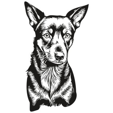 Manchester Terrier köpek eli çizilmiş logo siyah beyaz çizgi çiziyor sanat hayvanları resmedilmiş gerçekçi evcil hayvan.