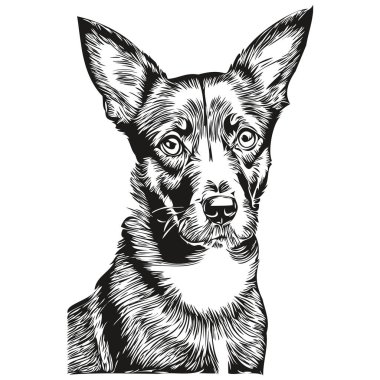Manchester Terrier köpek taslak kalem çizimi, beyaz arka planda siyah karakter gerçekçi evcil hayvan.