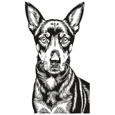 Manchester Terrier köpeği tişörtü siyah beyaz, sevimli komik çizim vektörü