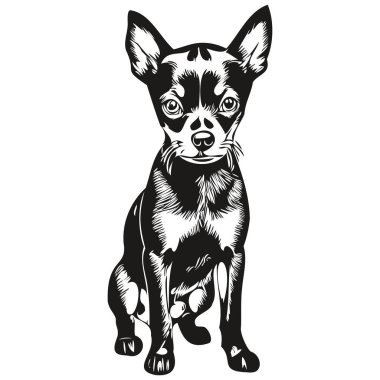 Minyatür Pinscher köpek eli siyah-beyaz çizgili bir logo çizmiş.