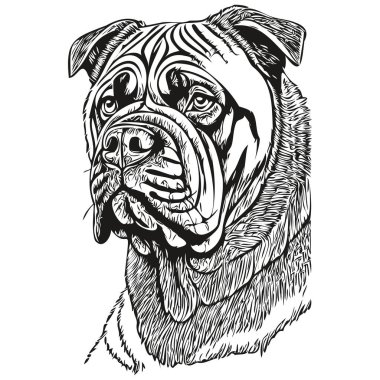 Napolili Mastiff köpek silueti evcil hayvan karakteri, klipsli sanat vektörü evcil hayvanları siyah-beyaz gerçekçi evcil hayvanları çiziyor.