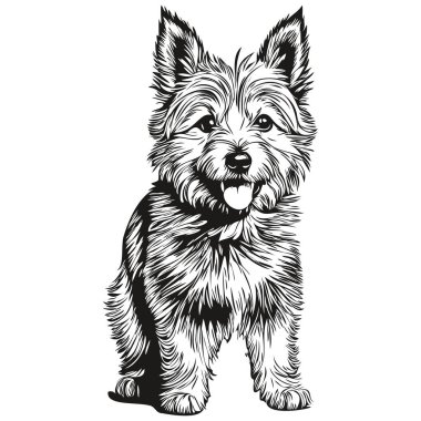 Norwich Terrier köpek çiftliği çizimi, klipsli hayvan eli siyah beyaz hayvan silueti vektörü