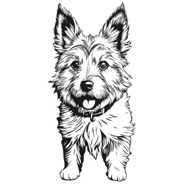 Norwich Terrier köpek logosu siyah-beyaz, klasik köpek kafası oymalı gerçekçi bir evcil hayvan.