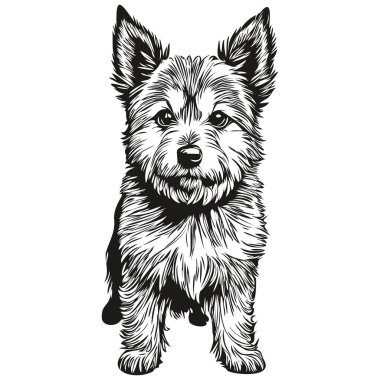 Norwich Terrier köpeği tişörtü siyah-beyaz, sevimli komik ana hatlı çizim çizimi çizimi