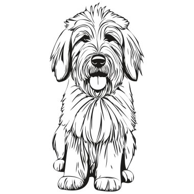 Eski İngiliz çoban köpeği logo vektörü siyah beyaz, klasik köpek kafası oymalı çizim