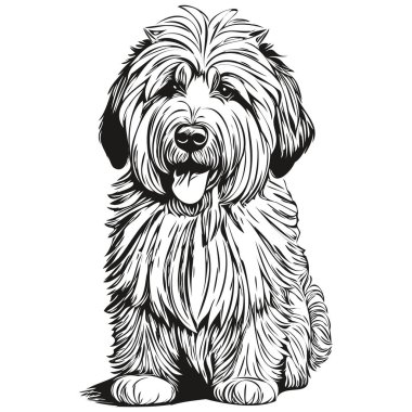 Eski İngiliz çoban köpeği tişörtü siyah-beyaz, sevimli komik çizim vektörü