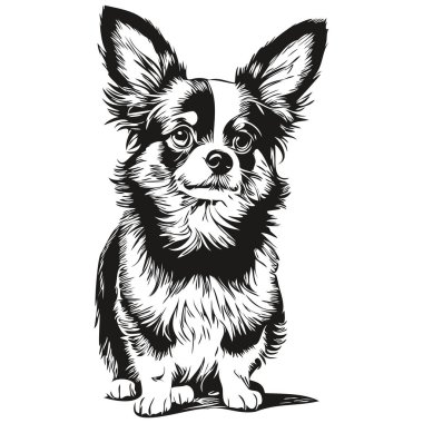 Papillon köpek evcil hayvan robot resmi, siyah beyaz oyma vektörü gerçekçi hayvan.