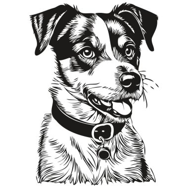 Parson Russell Terrier köpek mürekkep çizimi, klasik dövme ya da tişört baskısı siyah beyaz vektör