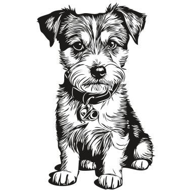 Parson Russell Terrier köpek vektör grafikleri, el çizimi kalem hayvan çizgisi çizimleri