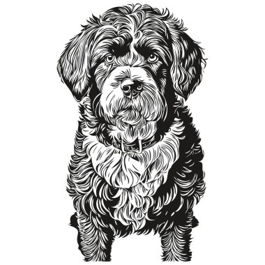 Portekiz Su Köpeği siyah çizim vektörü, izole edilmiş yüz boyama çizim çizimi çizimi çizimi