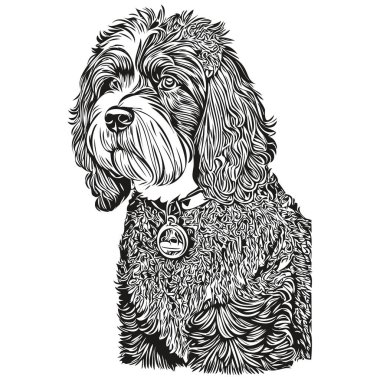 Portekiz Su Köpeği başlık çizimi vektörü, el çizimi, şeffaf arkaplan çizimi