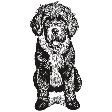 Portekiz Su Köpeği taslak çizimi, siyah karakter beyaz arka plan çizimi