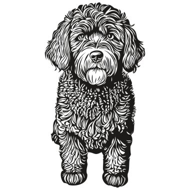 Portekiz Su Köpeği tişörtü siyah-beyaz, sevimli komik çizim vektörü gerçekçi hayvan cins.