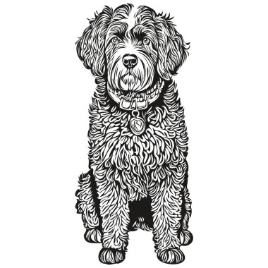 Portekiz Su Köpeği vektör grafikleri, el çizimi kalem hayvan çizgisi çizimleri