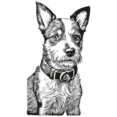 Russell Terrier köpek çizgi filmi yüz mürekkep portresi, siyah beyaz çizim, tişört izi.