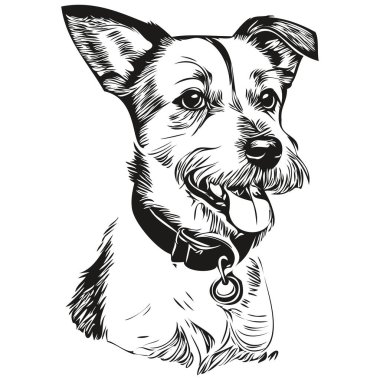 Russell Terrier köpek eli siyah beyaz çizgili resim çizer.