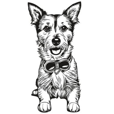 Russell Terrier köpek kafası çizim vektörü, el çizimi, şeffaf arkaplan