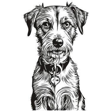 Russell Terrier köpek çizgisi illüstrasyonu, siyah-beyaz mürekkep çizimi vektör gerçekçi evcil hayvan portresi