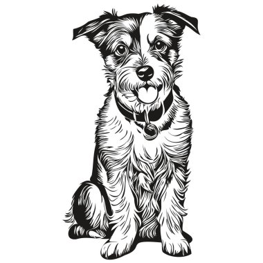 Russell Terrier köpek çizgisi illüstrasyonu, vektör içinde siyah ve beyaz mürekkep çizimi