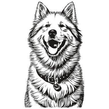 Samoyed köpek taslak kalem çizimi, beyaz arkaplanda siyah karakter