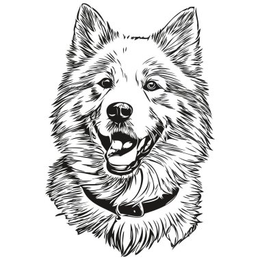 Vektör olarak Samoyed köpek portresi, dövme veya tişört izi çizimi için hayvan eli çizimi