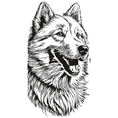 Samoyed köpek gerçekçi kalem çizim vektör, çizgi resim köpek yüz siyah ve beyaz gerçekçi evcil hayvan