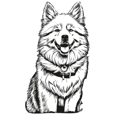 Samoyed dog siluet evcil hayvan karakteri, klipsli sanat vektör evcil hayvanları siyah ve beyaz gerçekçi evcil hayvanları çiziyor